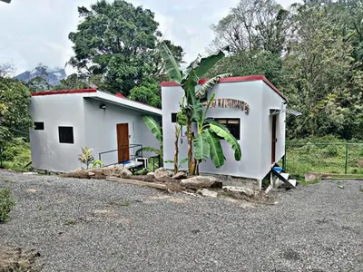 a small white house with a palm tree in front of it at The Chicken House in El Castillo de La Fortuna