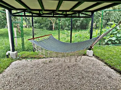 a hammock sitting under a canopy in a field at The Chicken House in El Castillo de La Fortuna