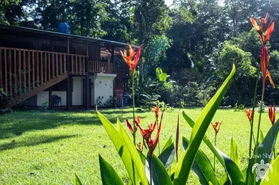 a garden with red flowers in front of a house at Casa Shec- An Oceanfront Jungle Retreat in Drake