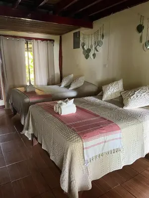 a room with two beds in a room at Casa Shec- An Oceanfront Jungle Retreat in Drake