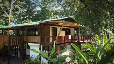 a wooden house with a deck in the trees at Casa Shec- An Oceanfront Jungle Retreat in Drake