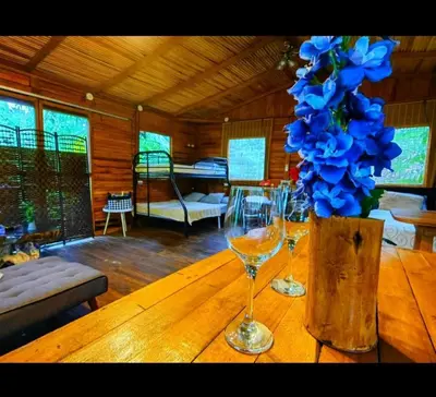 a wooden table with two wine glasses and a vase with blue flowers at Tree House River in Palma