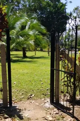 an open gate to a park with palm trees at Tree House River in Palma