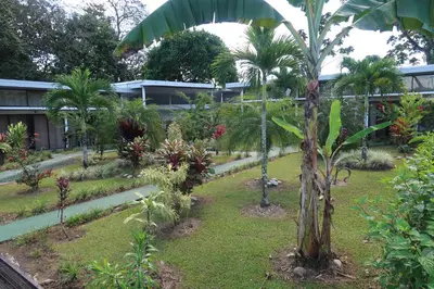 a garden with palm trees and other plants at Hotel Secreto La Fortuna in Fortuna