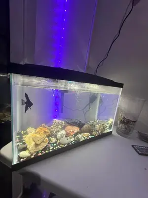 a fish tank sitting on top of a table at Encantadora casa con piscina privada in Herradura