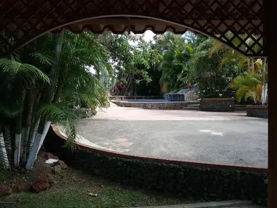 a view of a courtyard with a palm tree at Hotel Cibeles Resort in Heredia