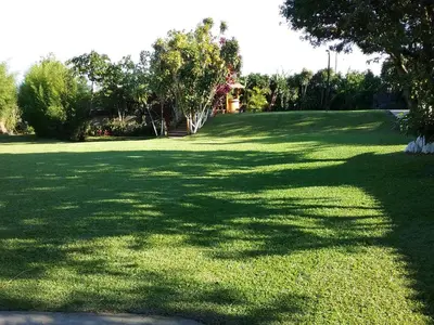 a large grassy yard with trees in the background at Hotel Cibeles Resort in Heredia