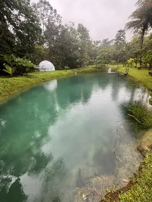 a pond with green water in a park at Mineral River Eco Village in Tapantí