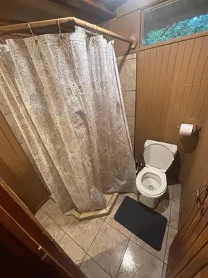 a bathroom with a toilet and a shower curtain at Mineral River Eco Village in Tapantí
