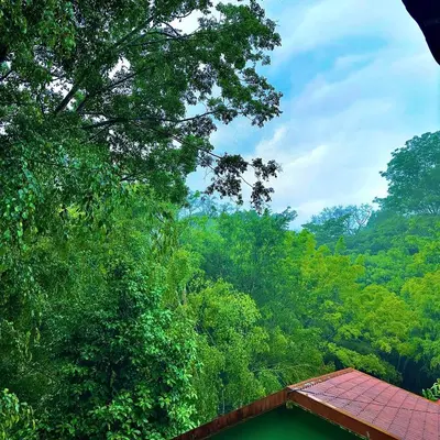 a roof of a house with trees in the background at Cabañas Luz de Luna