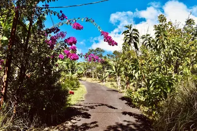 a path through a garden with pink flowers at Cabaña Colibrí - Parking in Sarchí