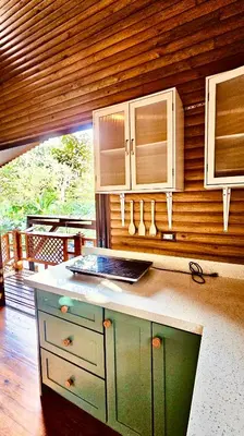 a kitchen with a counter and a wooden wall at Cabaña Colibrí - Parking in Sarchí