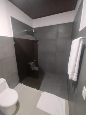 a bathroom with a white toilet and a shower at Las Morenas in Nosara