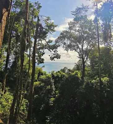 a view of the ocean through the trees at Majestic View House in Dominical, Oceanview in San Luis