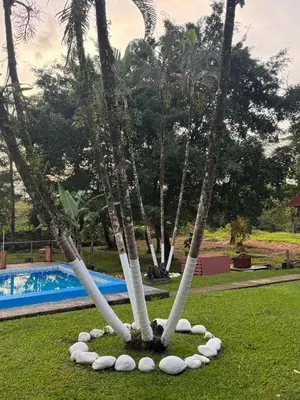 a statue of three palm trees with a pool at Cabaña Brisa Del Río in Cooper