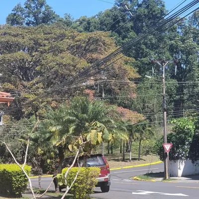 a red car driving down a street with a palm tree at Rooms For RENT, Roommates, Or As BB in Heredia