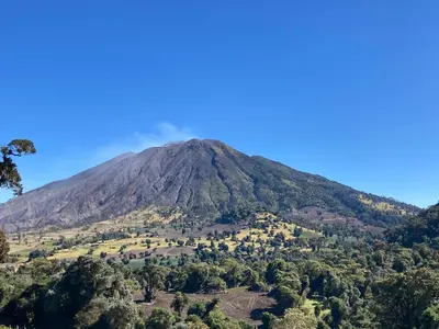 a mountain in the middle of a forest at Casas Kawö y Tulu