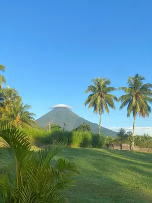 a field with palm trees and a mountain in the background at La Casa Tropical in Guayabal