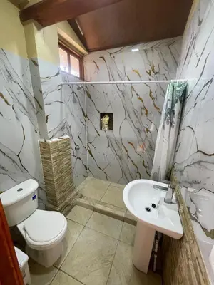 a bathroom with a toilet and a sink at Cabinas en Cañas Guanacaste in Cañas