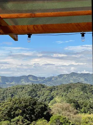 a view of the jungle from the inside of an airplane at Cabaña el mirador in Empalme
