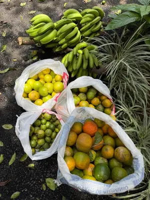 three baskets of fruit sitting on the ground with bananas at Casa Jardin BV