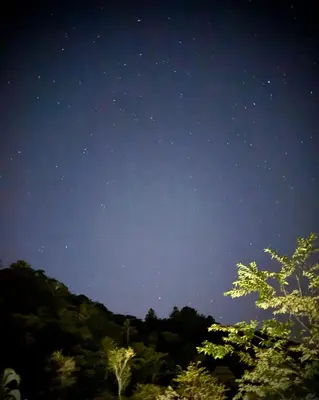 a starry night with a tree in the foreground at Casa Jardin BV