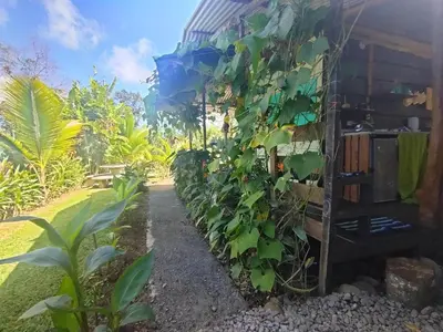 a garden with a bunch of green plants at Arenal Rainforest # La cabaña in Palma