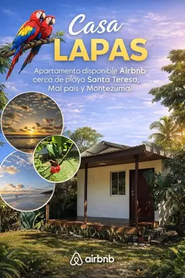 a magazine advertisement for a small house with a parrot at Casa lapas in San Isidro