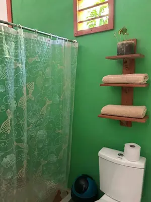 a green bathroom with a shower curtain and a toilet at Casa AllíS in Cóbano