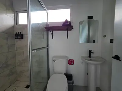 a bathroom with a toilet and a shower and a sink at The Palm at Life's a Beach in Uvita
