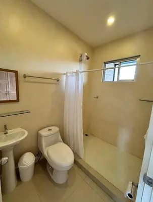 a bathroom with a toilet and a shower and a sink at Josuary in Brasilito