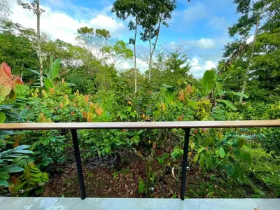 a view of a forest from a balcony at Cabañas Toku Laka in Fortuna