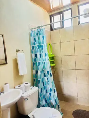 a bathroom with a toilet and a shower curtain at Villas Volcan Arenal in Fortuna