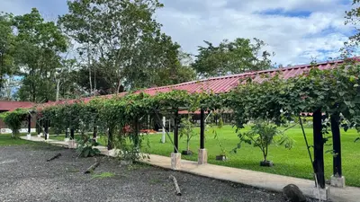 a row of apple trees in front of a building at Enchanted Valley CR in San Lorenzo