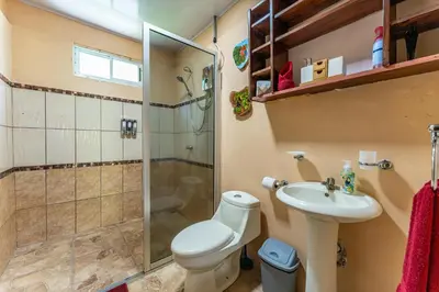a bathroom with a toilet sink and a shower at Toucan River Retreat - River Access, AC & Jacuzzi in San Francisco