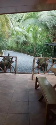 a patio with two benches and a pond with palm trees at Cabaña las Palmeras Pura Vida!! in Linda Vista