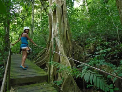 a woman on a suspension bridge in the forest at Jungle Overnight