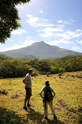 two people standing in a field looking at a mountain at Jungle Overnight