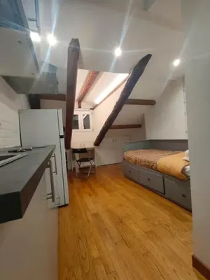 a small room with a bed and a kitchen in it at Cozy Central Apartment in San José