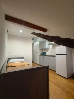 a large room with a bed in a kitchen at Cozy Central Apartment in San José