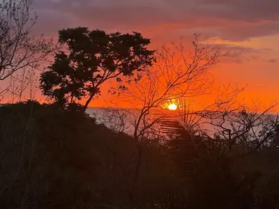 a sunset with a tree in front of the ocean at Casa Dominick - Luxury a short walk from the sea in Nosara