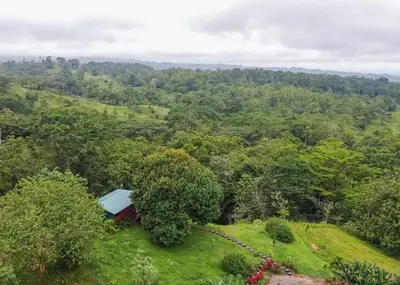 an aerial view of a cabin in the middle of a forest at Cabaña tranquila con vistas a la montaña y naturaleza en Monterrey in Monterrey