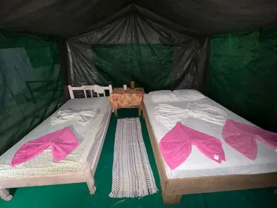 two beds in a green tent with pink sheets at Ecobosque del Mar in Drake