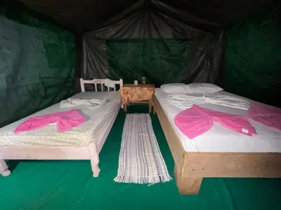 two beds in a green tent with towels on them at Ecobosque del Mar in Drake