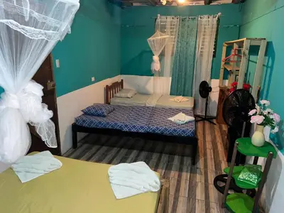 a bedroom with two beds and a green wall at Ecobosque del Mar in Drake