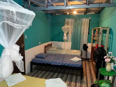 a bedroom with a bed in a room with green walls at Ecobosque del Mar in Drake