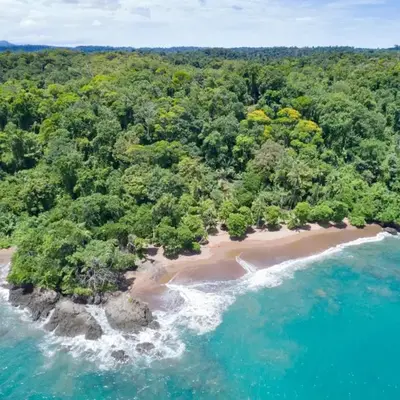 Ecobosque del Mar
