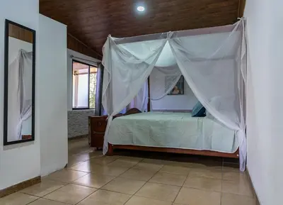 a bedroom with a bed with a mosquito net at Hostel Cocos B&B in Alajuela City