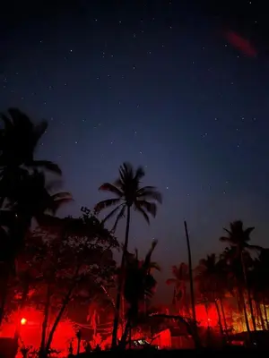 a starry night with palm trees in the foreground at Tropical House Relaxation with Private Pool in Santa Cruz