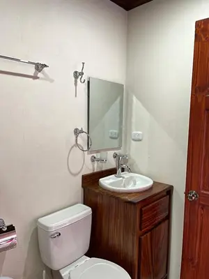 a bathroom with a toilet and a sink and a mirror at Apartamentos Casa Don Luis in Monteverde Costa Rica